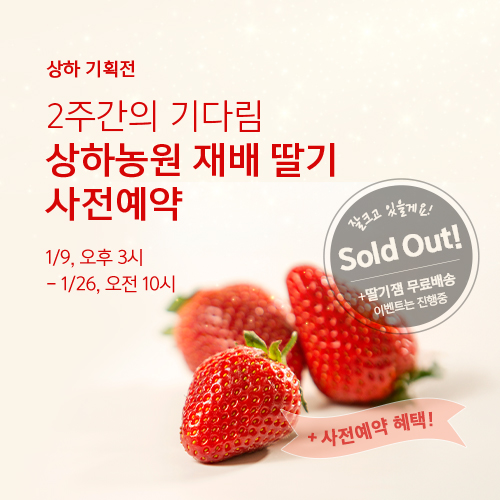 상하농원 재배 딸기 사전예약