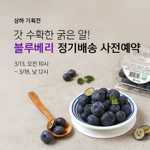 블루베리 정기배송