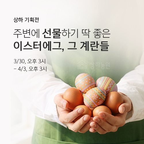 주변에 선물하기 딱 좋은 이스터에그