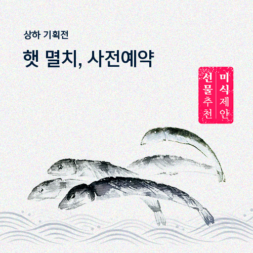 완도 햇 가이리멸치