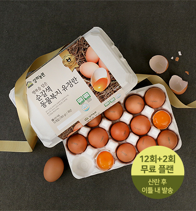 [월2회배송] 상하농원 동물복지 유정란 15구 (12회분 일괄 결제)