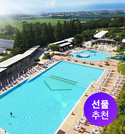상하농원 수영장 입장권(7월6일 입장권 등기발송 / 수령이후 사용가능)